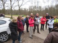 Balade Forêt de Haguenau / Circuit de la Schierlach - 24/02/2022