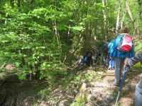 Balade circuit Voegtlinshoffen – Col de Marbach – Les 3 Châteaux d’Eguisheim - 28/04/2022