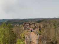 Balade Etang de Hanau – Etang de Liesbach - 07/04/2022