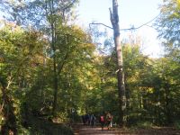 Balade autour d'Ebersteinburg en Forêt-Noire - 16/10/2025