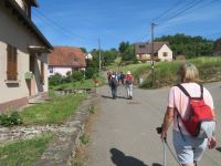 Balade Vallée de Villé : entre vignobles et vergers - 02/06/2022